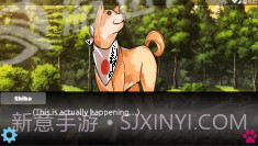 里娜爱情故事手机版1.4截图