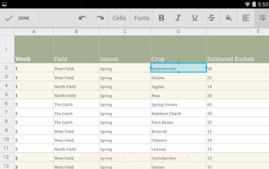 Google表格v1.8.292.09.13截图