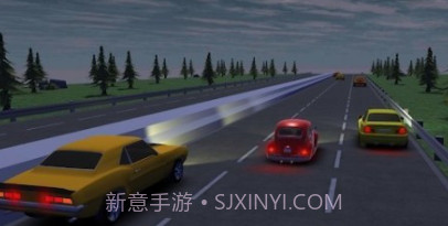 疯狂的赛车司机v0.22截图