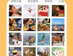 表情包头像v1.0.15截图