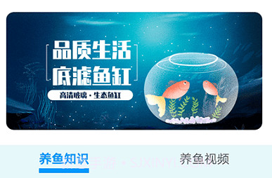 我爱养鱼V1.15截图