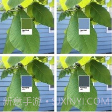 pantonev1.7.18截图