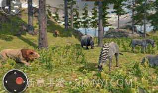 野生狮子RPGv0.18截图
