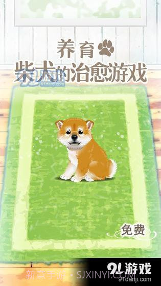 养育柴犬的治愈游戏1.16截图