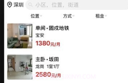 小兔子租房记v1.0.20截图