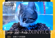 哈啰街猫手机版V1.0.16截图