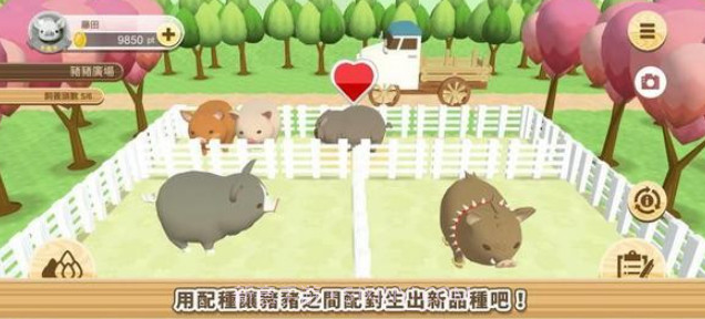 像素养猪场v1.22截图