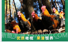 谷农生态v1.0.21截图