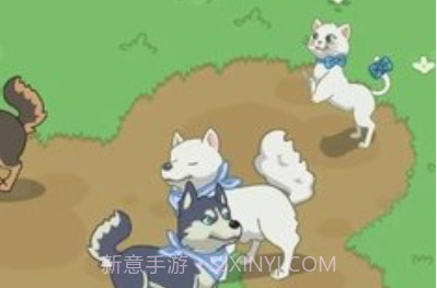 我的小海岛免广告无限金币版v0.19截图