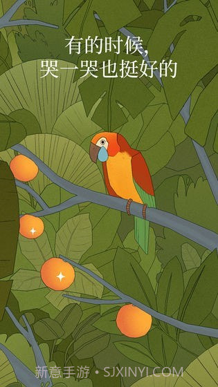 孤独的鸟儿v2.3.25截图