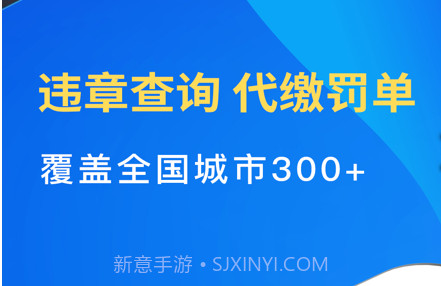 12123违章查询v5.25截图