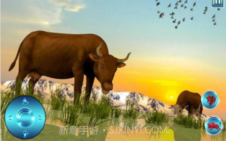 野生愤怒的公牛v1.22截图