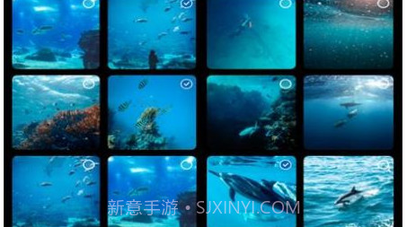 酷乐视频编辑v1.21截图