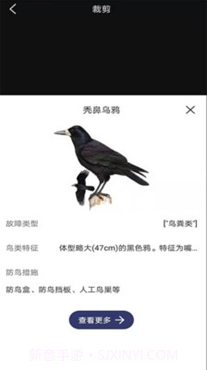 图音识鸟2.0.20截图