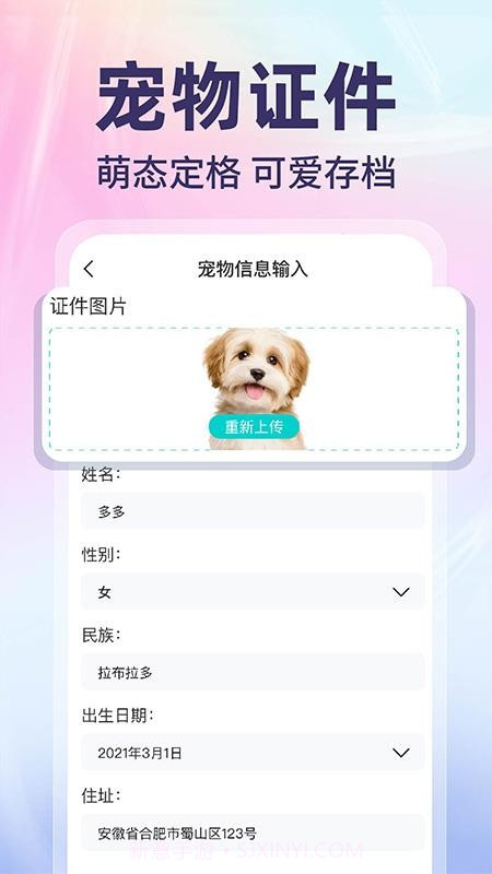 网络电子证件管家纯净版v1.0.1截图