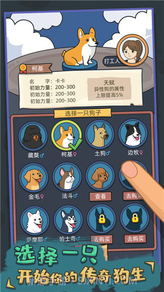 狗生模拟器国际版1.0.9截图