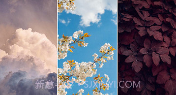 美妙壁纸馆v1.21截图