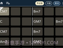 chord ai prov2.4.21截图