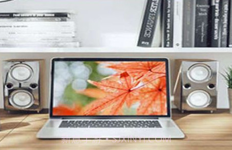 睿芽成绩查询学生入口v2.23截图