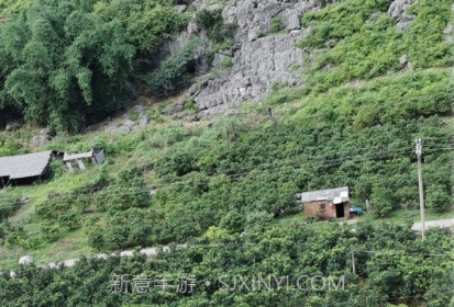 万能拍照识花免费v23.6.22截图