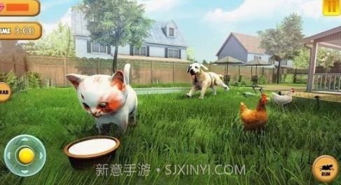 小猫玩耍模拟器v1.25截图