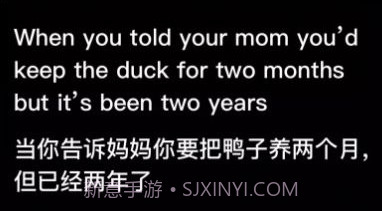 时空壶同传翻译v1.0.21截图