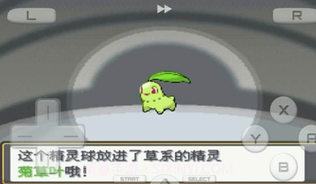 口袋妖怪金银v3.0.21截图