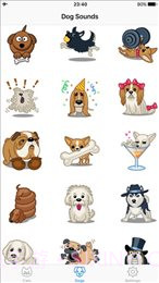 仓鼠语言翻译器(Pet Translator)截图1 仓鼠语言翻译器(Pet Translator)截图1