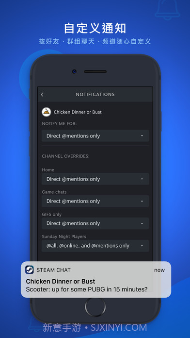 Steam Chat截图3 Steam Chat截图3