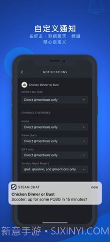 steam chat免费版截图1