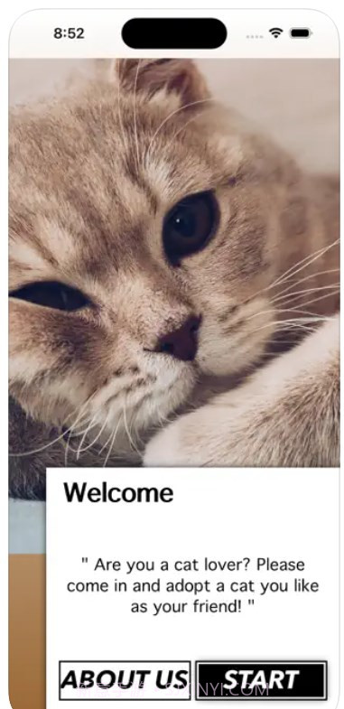 爱猫物语宠物店软件截图3 爱猫物语宠物店软件截图3