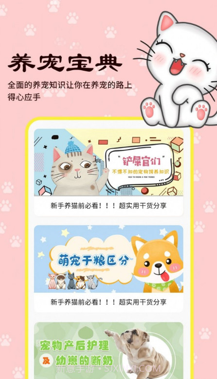 橙猫截图2