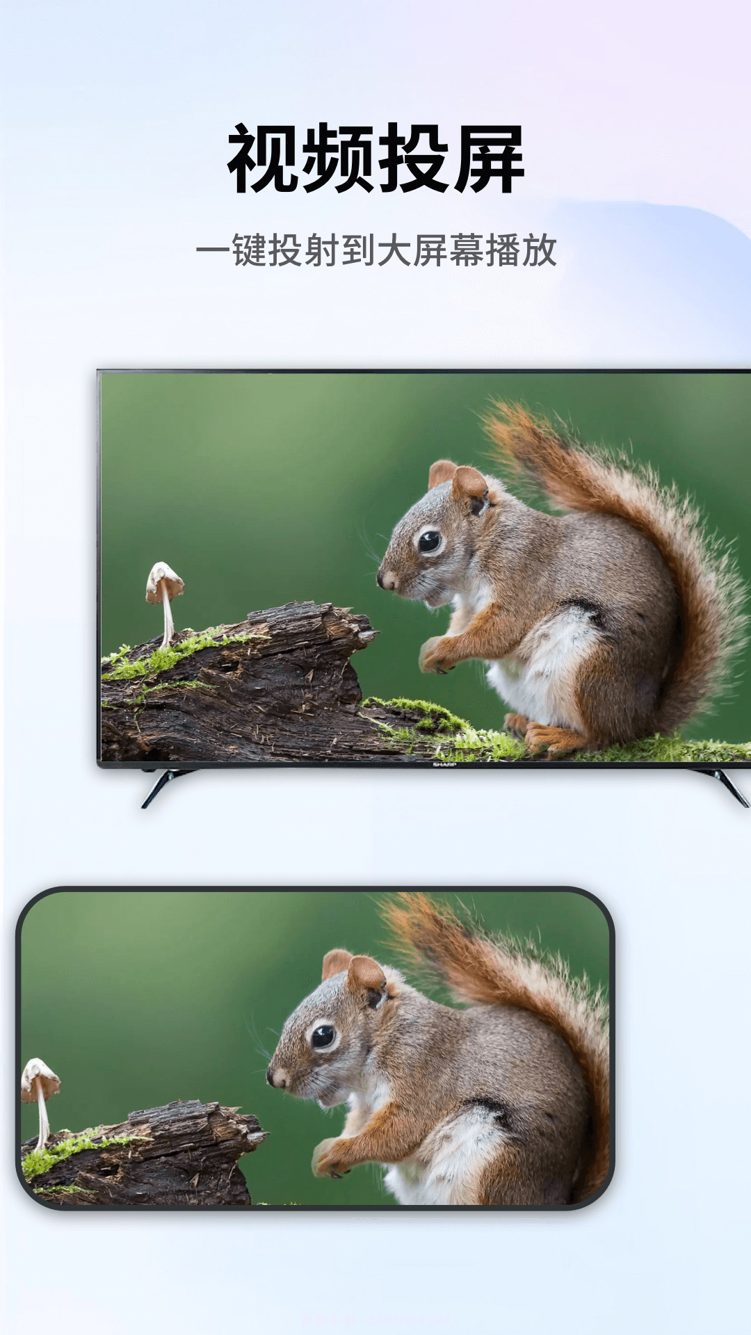 易投屏截图3 易投屏截图3