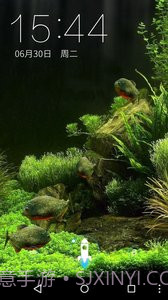 3D食人鱼:梦象动态壁纸截图4 3D食人鱼:梦象动态壁纸截图4