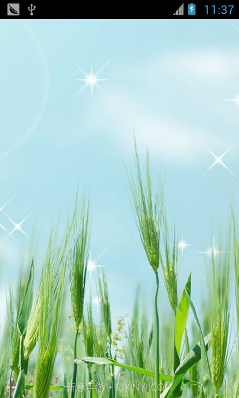零壁纸截图3 零壁纸截图3