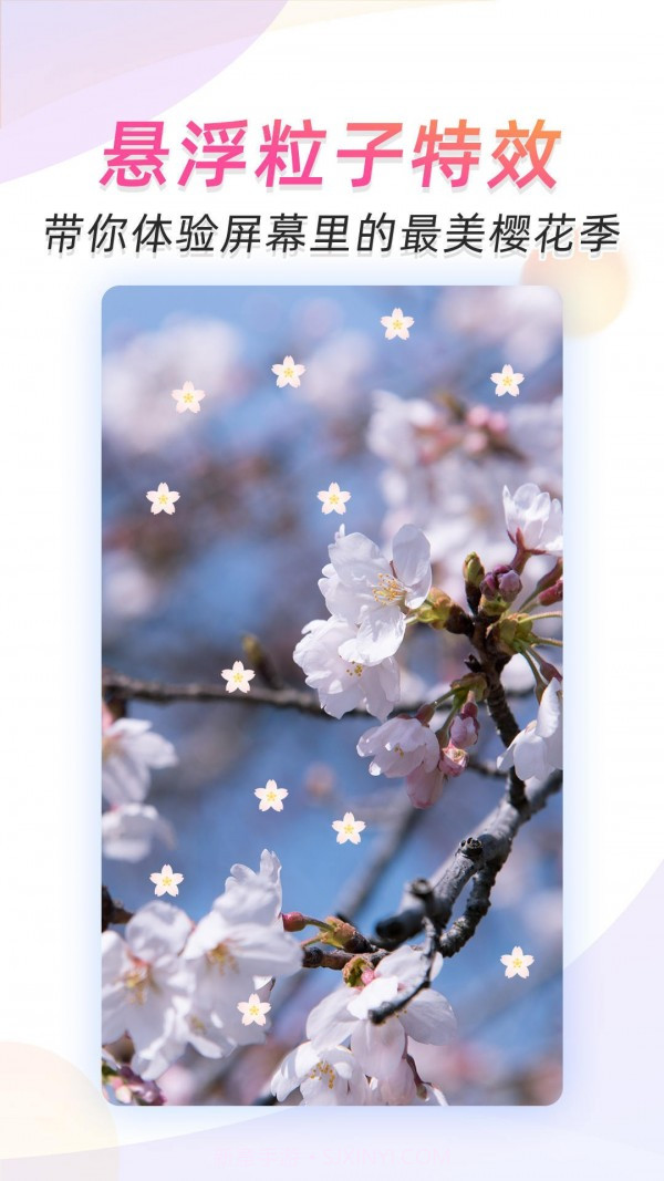 微视频壁纸截图5 微视频壁纸截图5