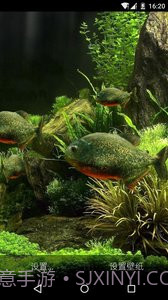 3D食人鱼:梦象动态壁纸截图1 3D食人鱼:梦象动态壁纸截图1