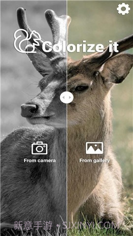 Colorize It截图1