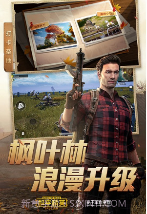 和平精英皮肤美化包截图3