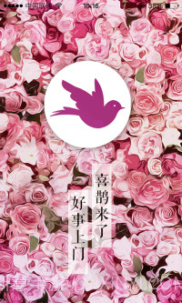 静博士喜鹊来了截图1