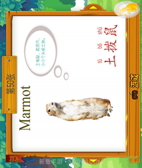 动物大全儿童版截图4