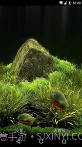 3D食人鱼:梦象动态壁纸截图3 3D食人鱼:梦象动态壁纸截图3