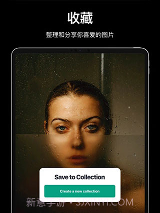pexels截图2 pexels截图2