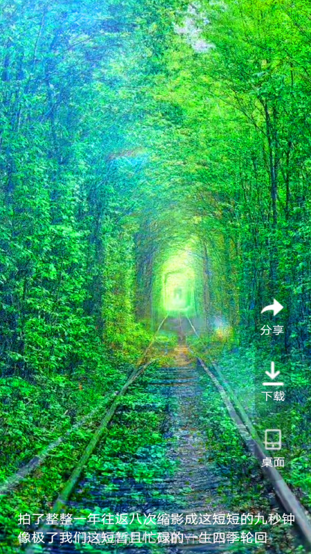 爱动态壁纸截图2