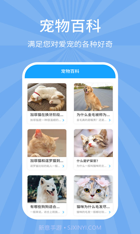 狗猫翻译器截图5