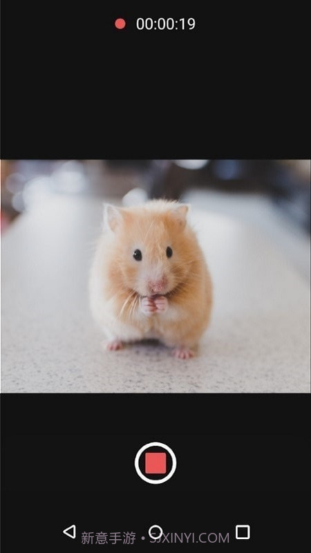 可变焦距相机截图2 可变焦距相机截图2