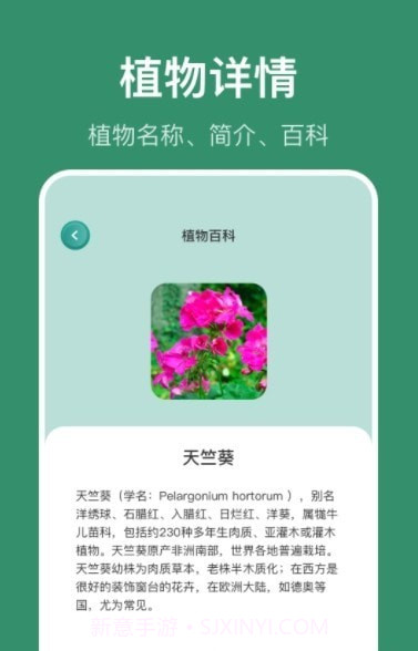 花仙识花草截图1