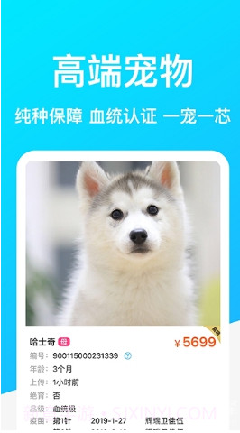 DogBreeds狗品种截图2