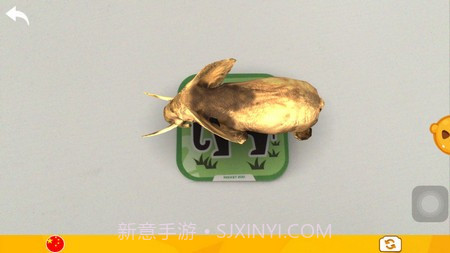 口袋动物园截图2