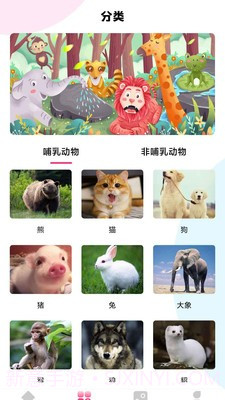 最强动物园截图2 最强动物园截图2